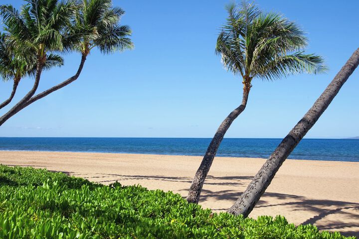 Beach 84 of 92