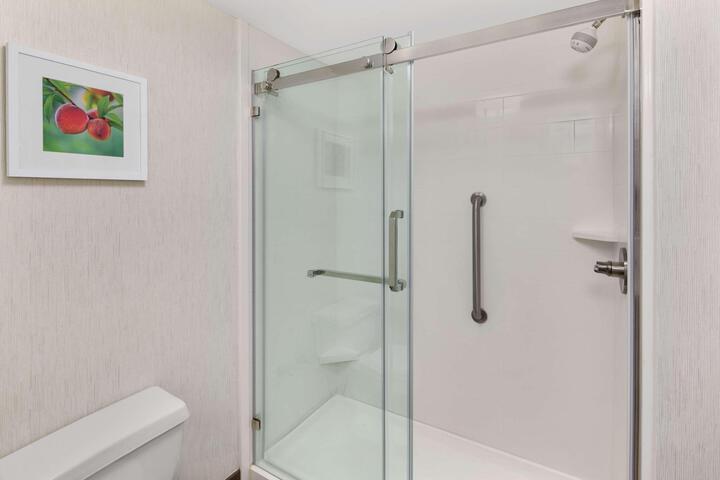 1 King Mobility Hearing Accessible Roll in Shower (11 of 17)