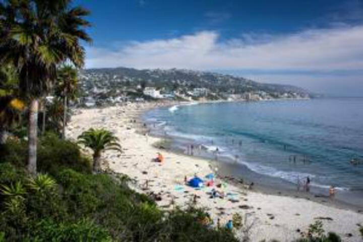 Beach 3 of 51