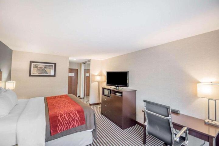Standard Room, King or Two Doubles