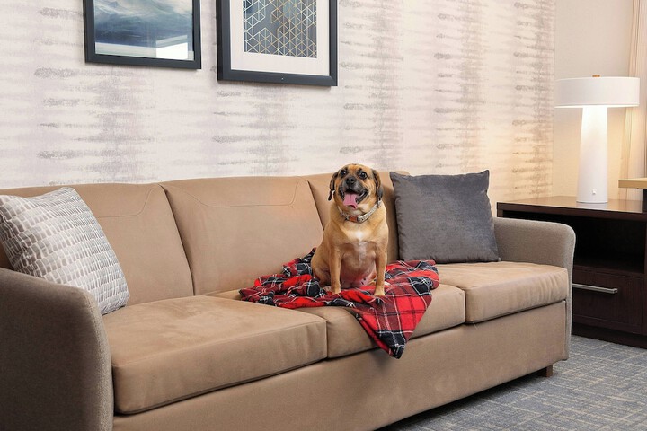 Pet Friendly 31 of 37