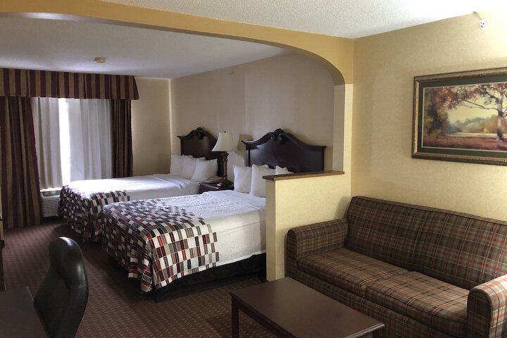 Standard Suite 1 King Bed with Sofa Bed (5 of 6)