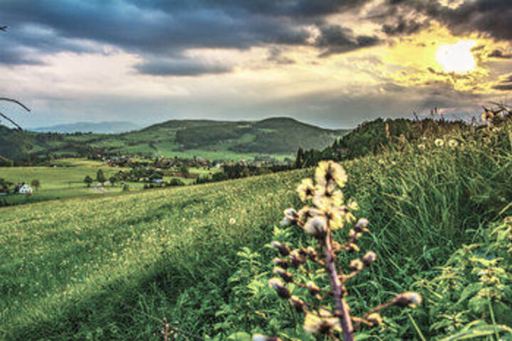 Spa and Wellness Pictures