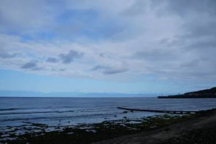 Beach or Ocean View