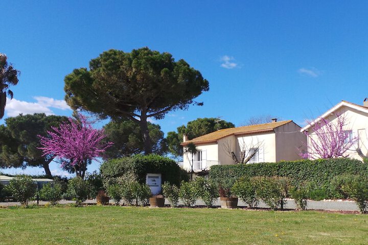A lorée des vignes