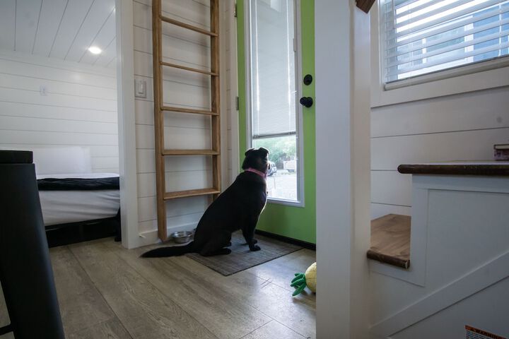 Pet Friendly 75 of 92