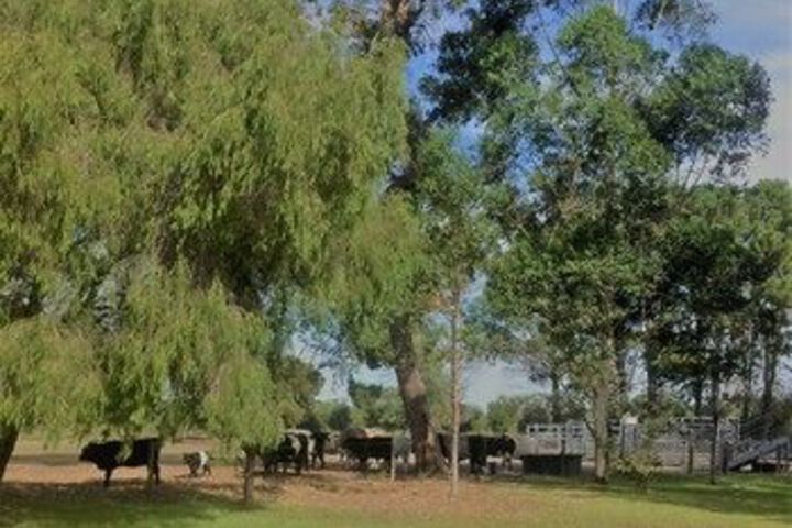 Property Grounds 50 of 54