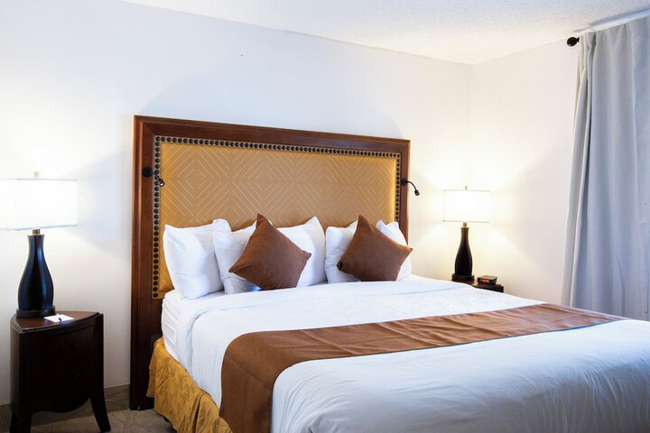 Deluxe Room 1 King Bed Accessible (14 of 22)