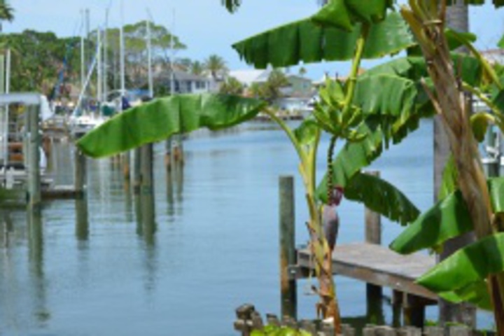 Hotel Exterior 19 of 576