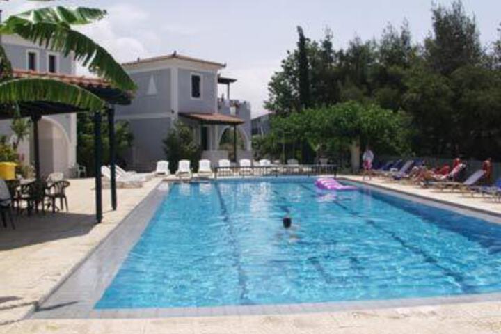 Photo 7