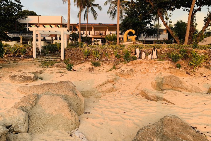 Beach 139 of 238