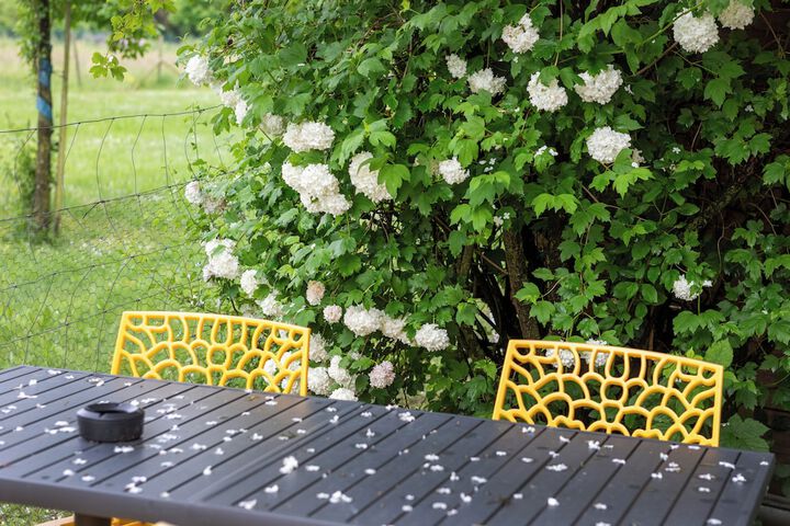 Terrace/Patio 49 of 55