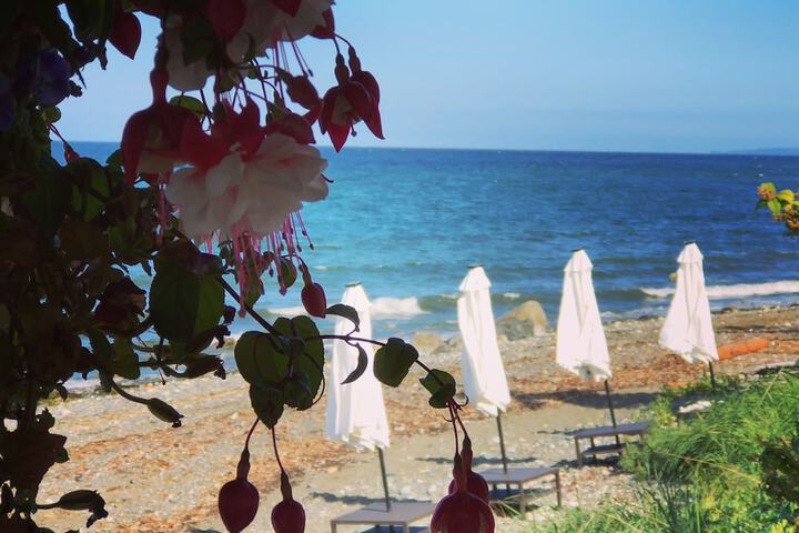 Beach 59 of 64