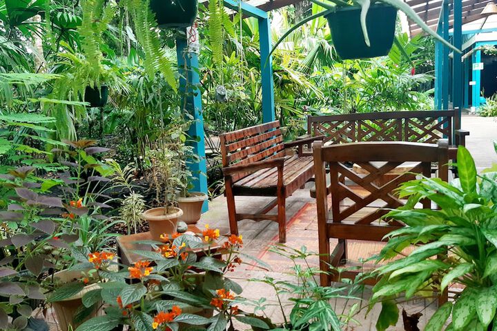 Terrace/Patio 81 of 87