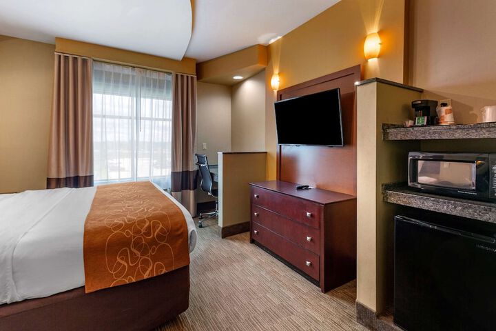 Standard | King Bed (7 of 15)