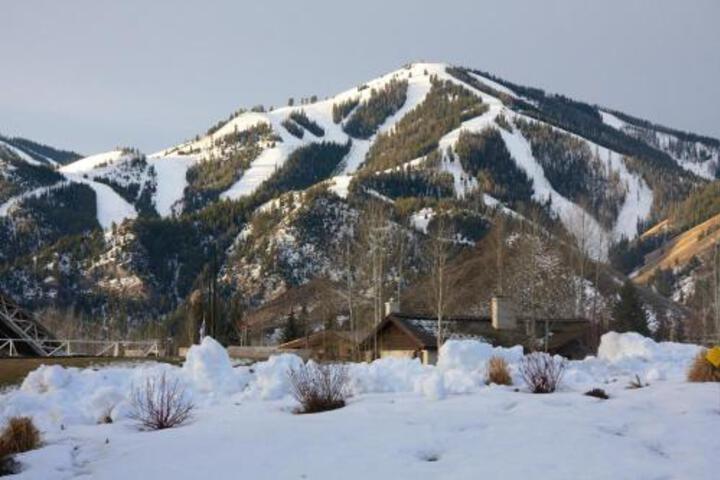 Photo 4