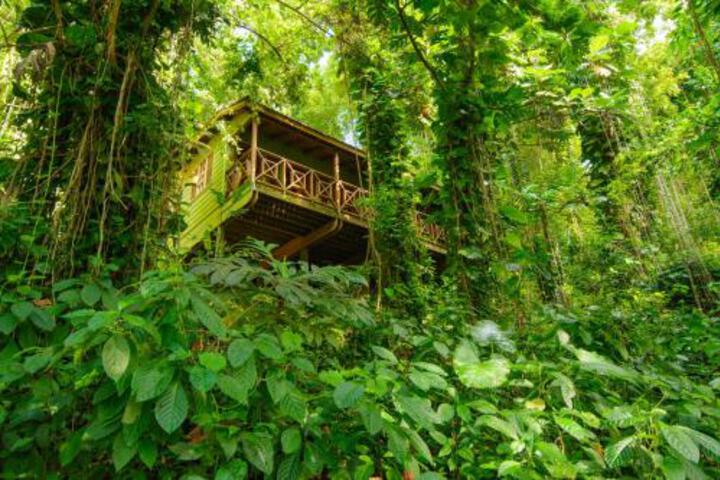 Photo of Kanopi House