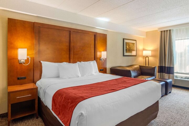 1 King Bed 2 Person Sofa Bed (23 of 30)