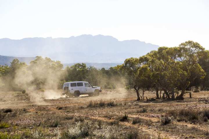 Safari