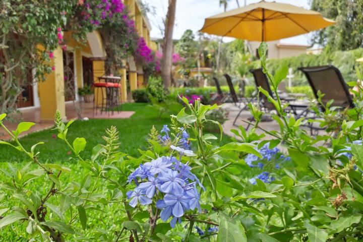 Spa and Wellness Pictures