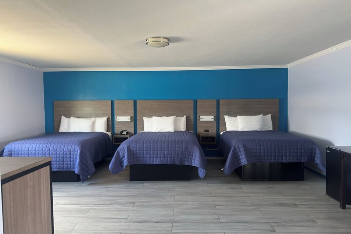 Room 6 of 26