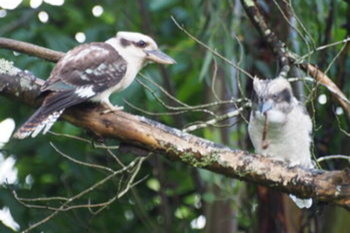 Hotel Exterior 6 of 48