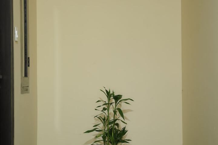 Goldsuite