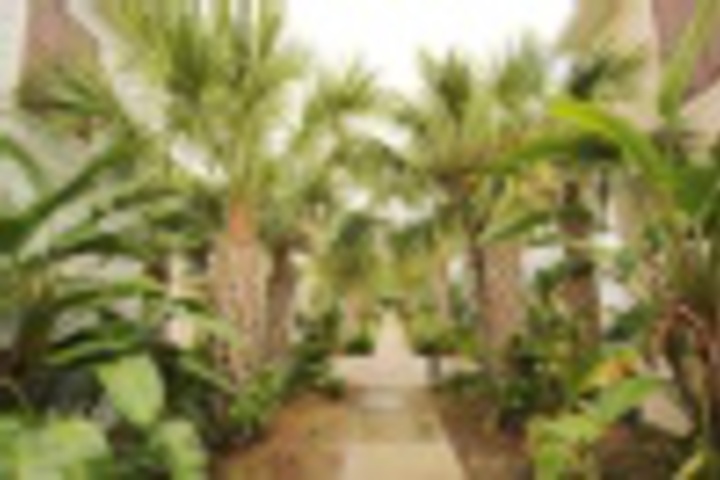 Hotel Exterior 4 of 323