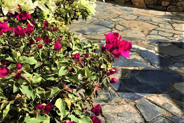 General 4 of 24