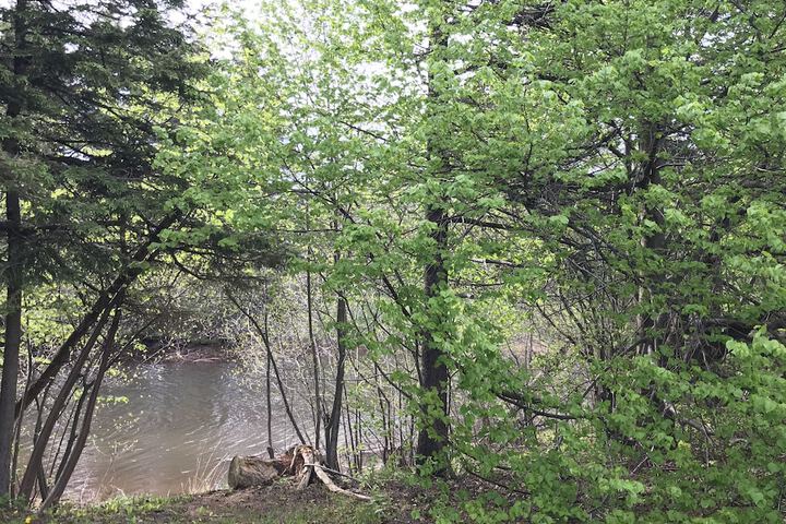 Property Grounds 14 of 21