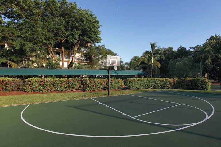 Basketball court
