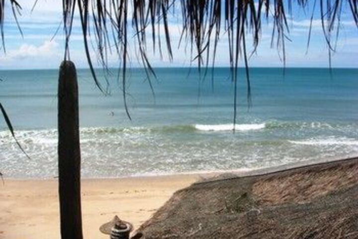 Beach or Ocean View