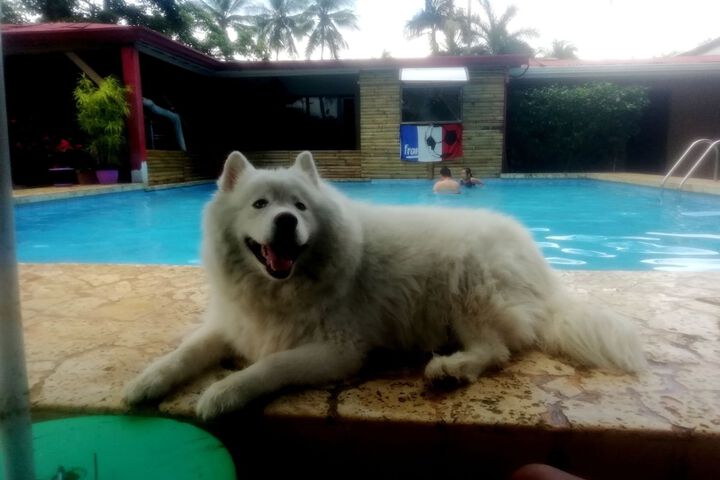 Pet Friendly 19 of 46