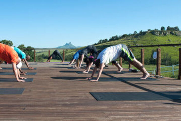 Health and Fitness 49 of 49