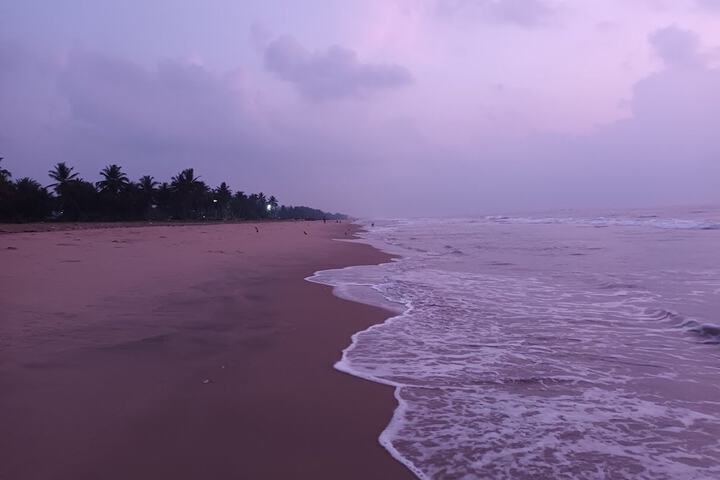 Beach 152 of 195