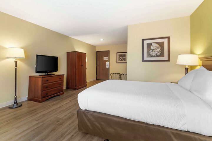 1 Queen Bed High Speed Internet Accessible Refrigerator, Coffee Maker Iron and Ironing B (5 of 16)