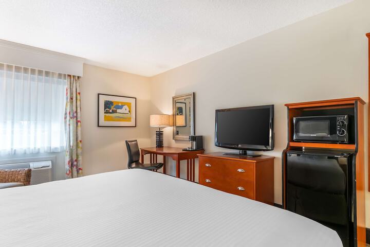 1 King Bed Refridgerator High Speed Internet Coffee Maker, Hair Full Breakfast (16 of 23)