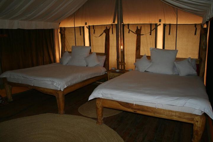 Room 6 of 38