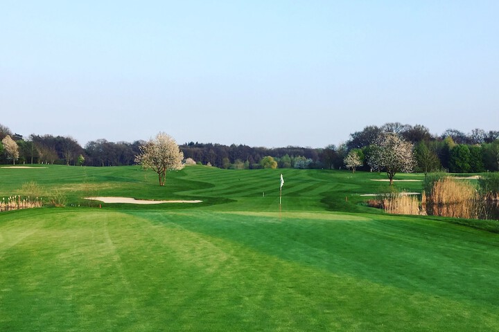 Golf 57 of 85