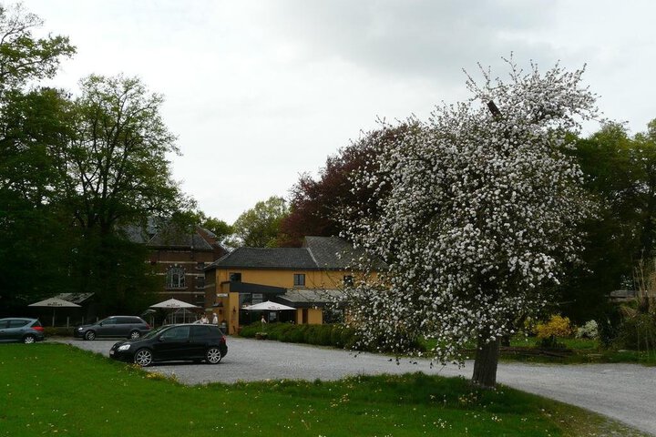 Photo 12