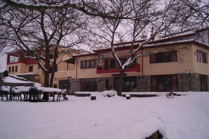Photo 7