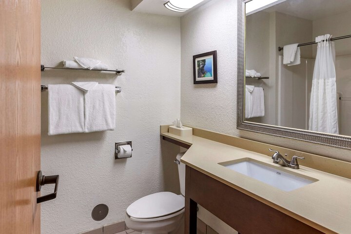 Standard Room, King or Two Doubles (4 of 5)
