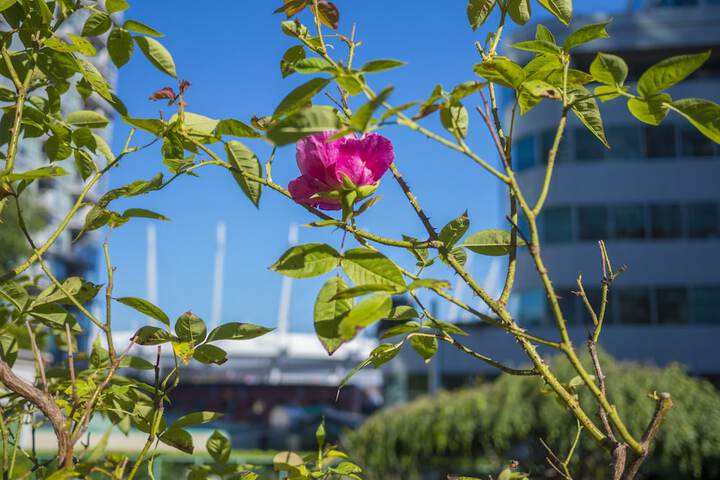 Property amenity