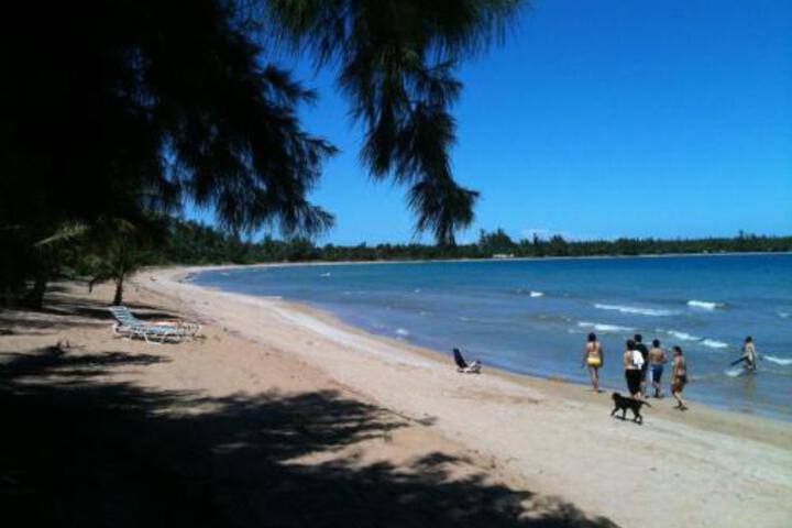 Photo of Apartment in Continental Beach Resort