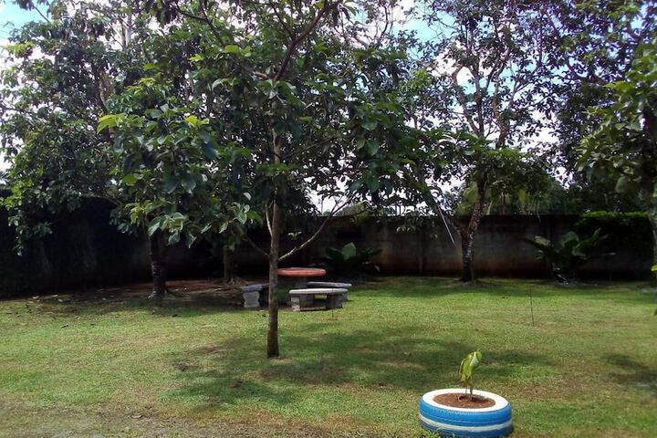 Property Grounds 44 of 49