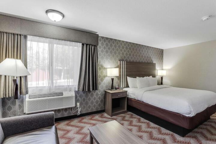 1 King Bed Pet Friendly (20 of 36)