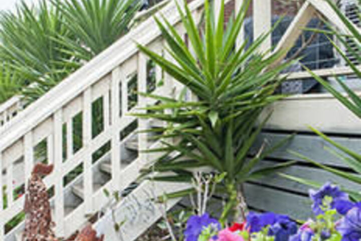 Hotel Exterior 8 of 35