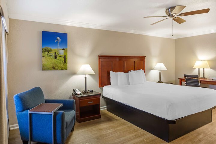 1 King Bed (16 of 18)