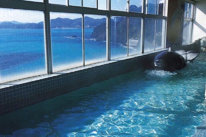 Wellness Treatments