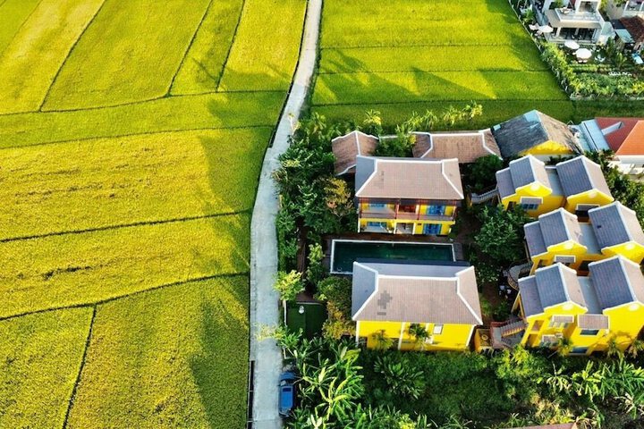 Chez Mimosa Hoi An - Rice Field Retreat